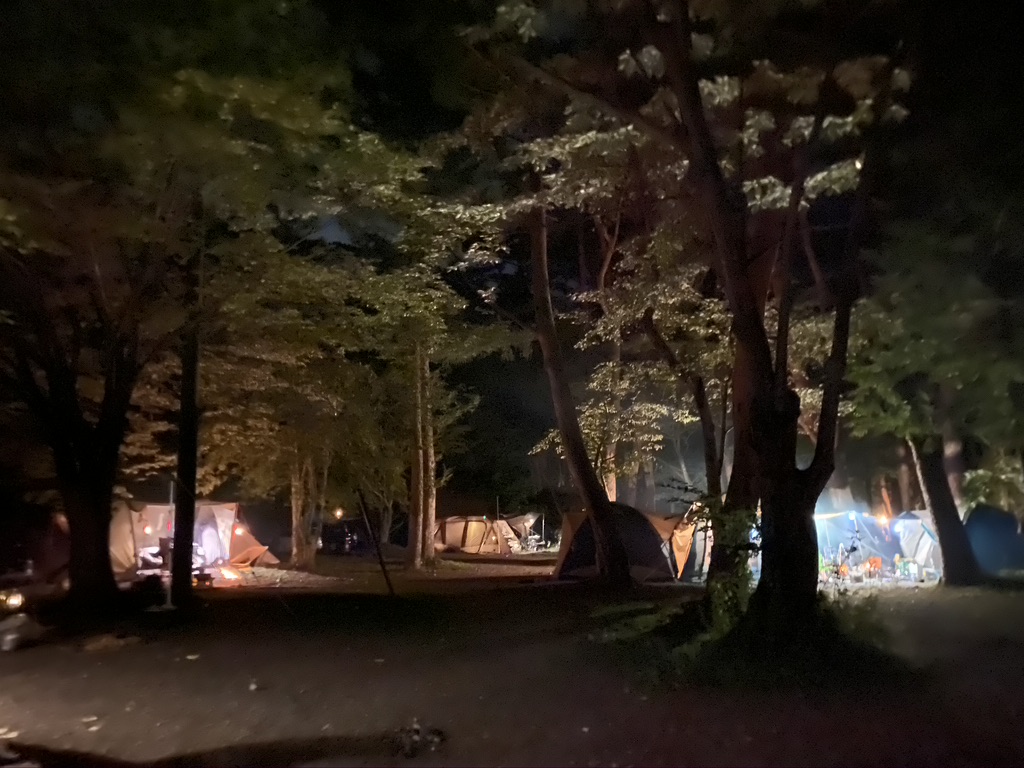 Lakeside site at night
