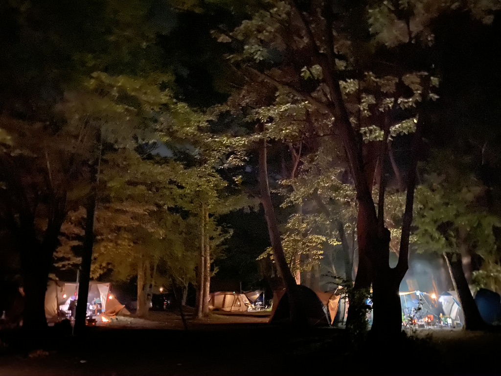 Lakeside site at night