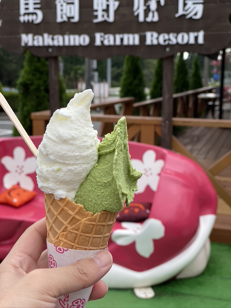 Double scoop of milk and Shizuoka matcha gelato