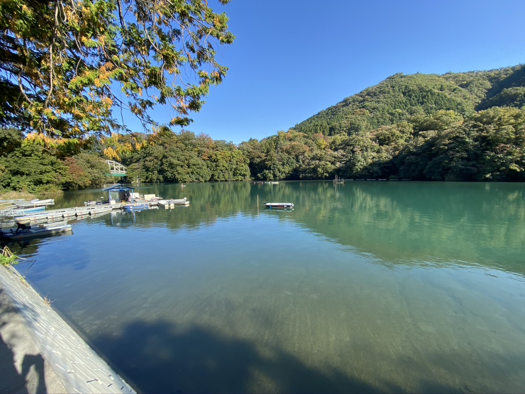 秋山川の様子