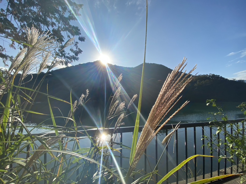 秋山川の様子