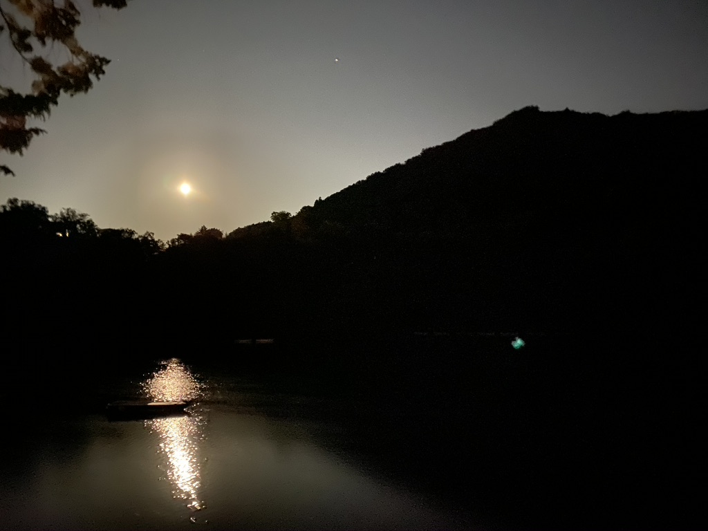 秋山川の様子