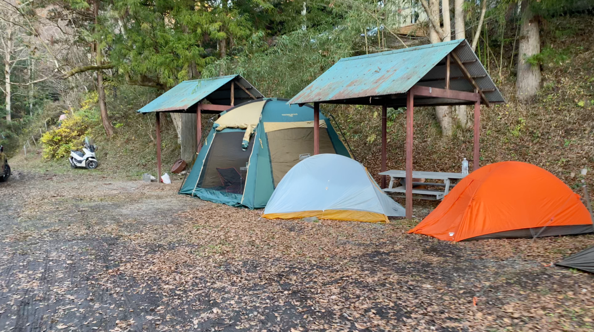 C site