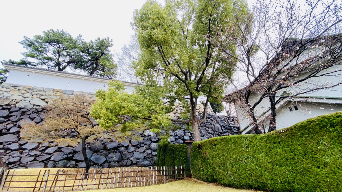 Japanese garden