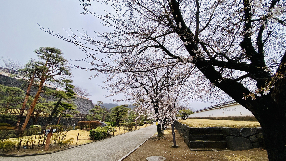 Japanese garden