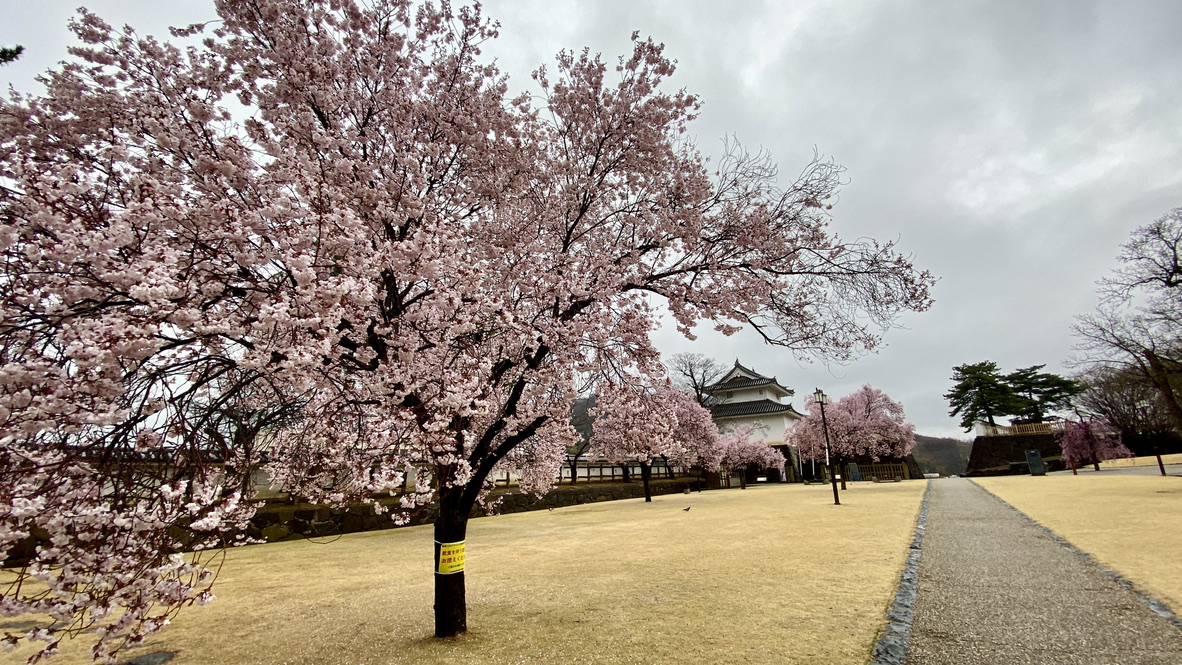 Inari Kuruwa