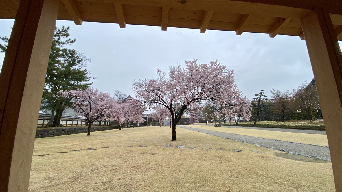 Inari Kuruwa