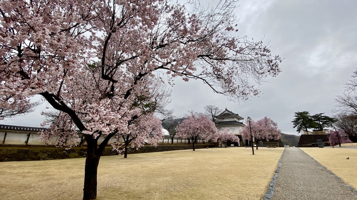 Kofu Castle