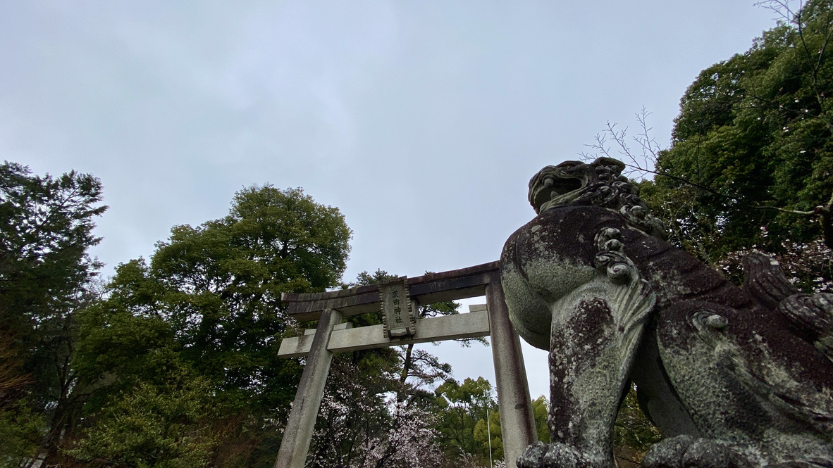 Guardian dog and torii
