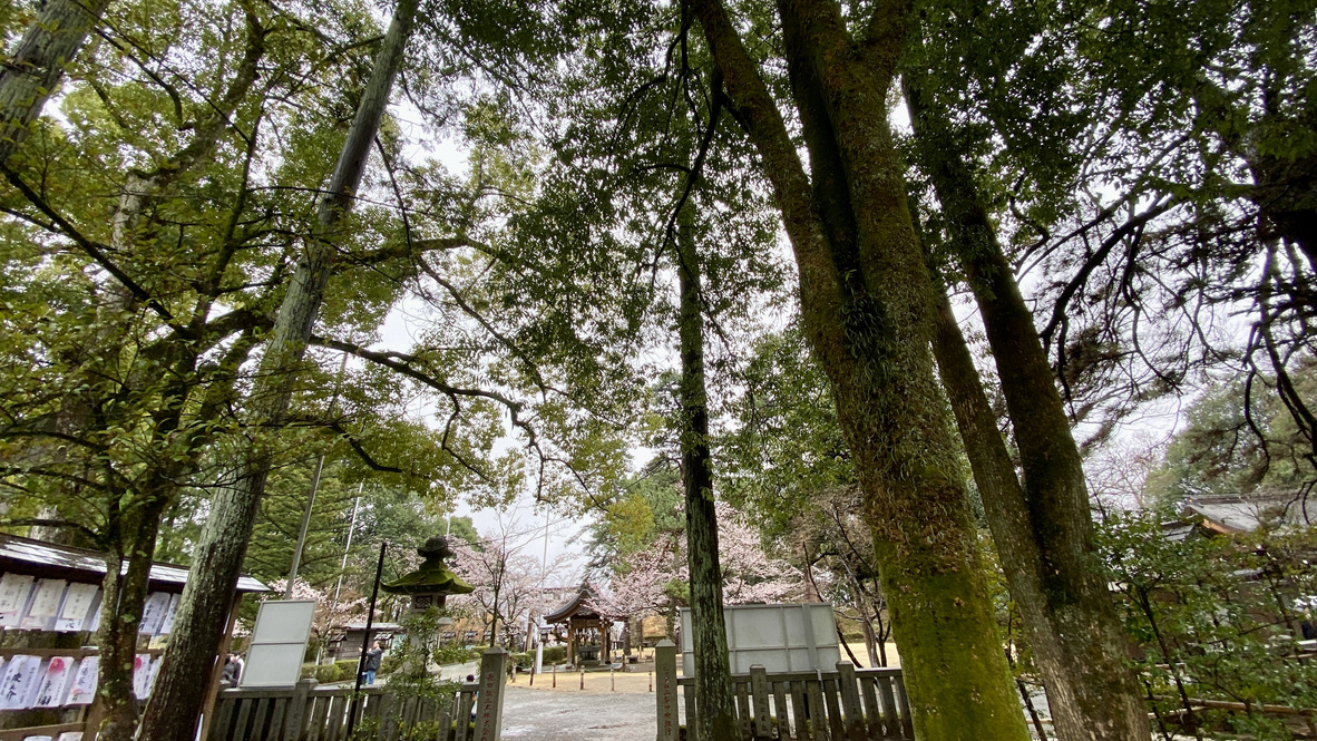 Sacred natural scenery