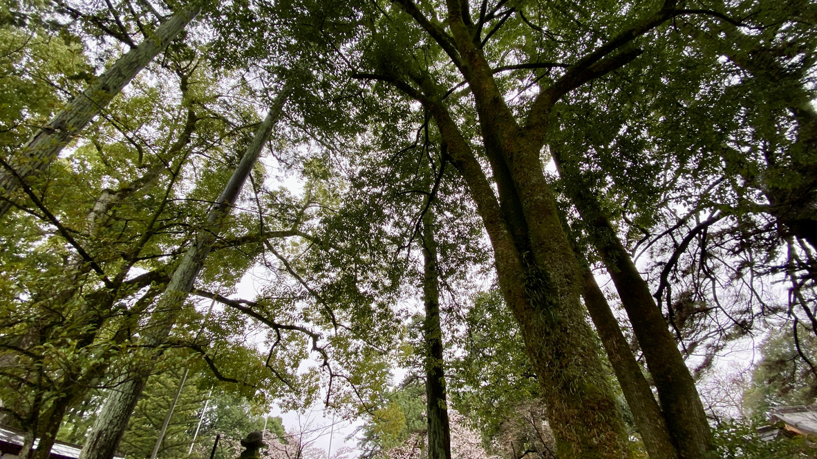 Sacred natural scenery