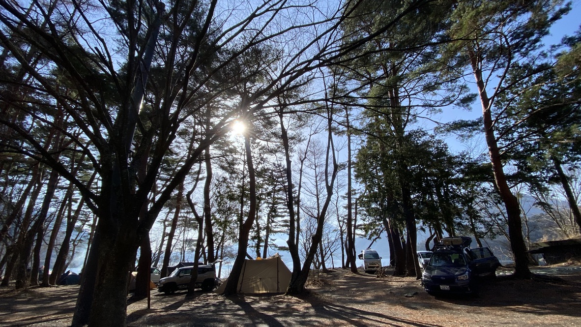 Forest site
