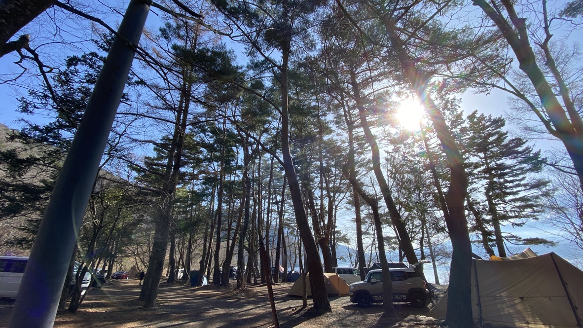 Forest site