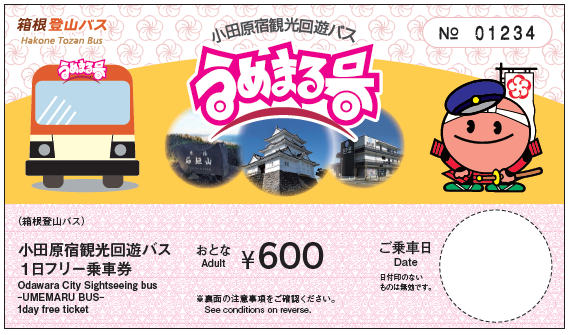 1-day free ticket