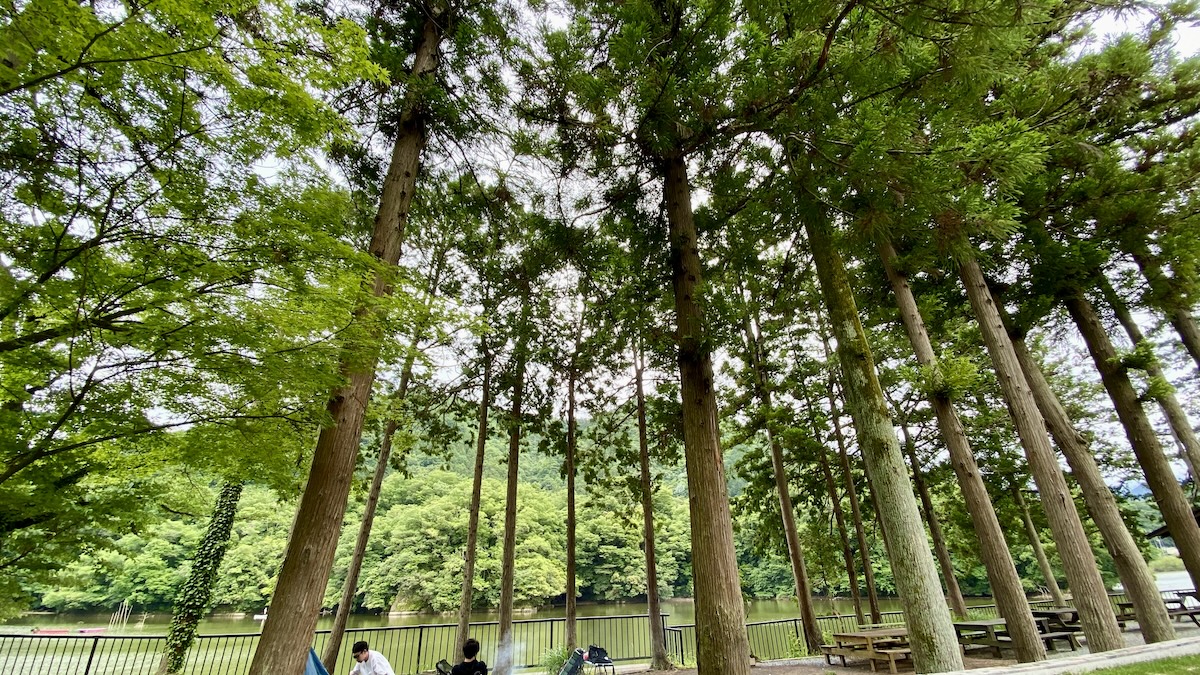 Camping del Akiyamagawa