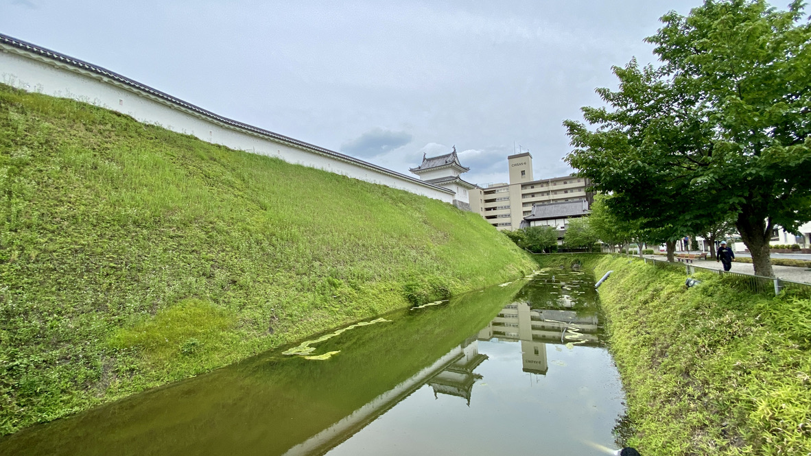 Hori