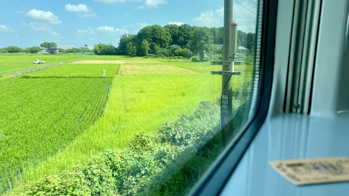 Countryside Views from the Train