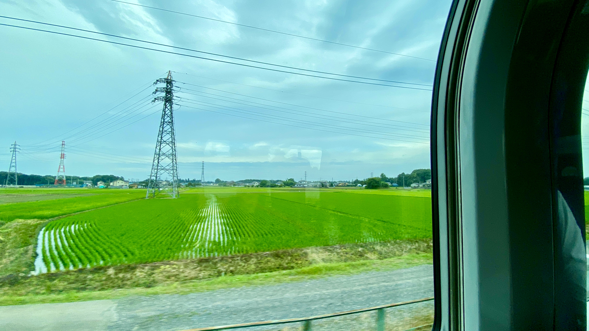 View from the Train