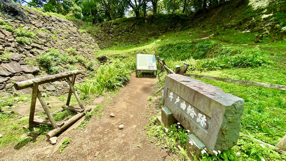 伊多·庫魯瓦