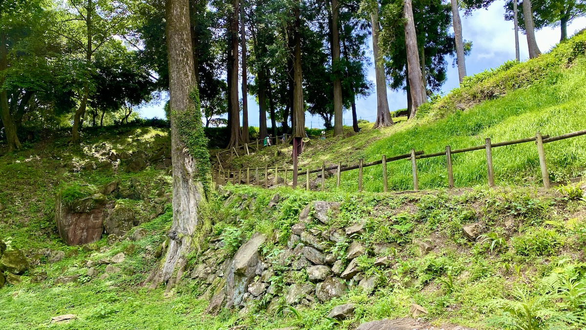 伊多·庫魯瓦