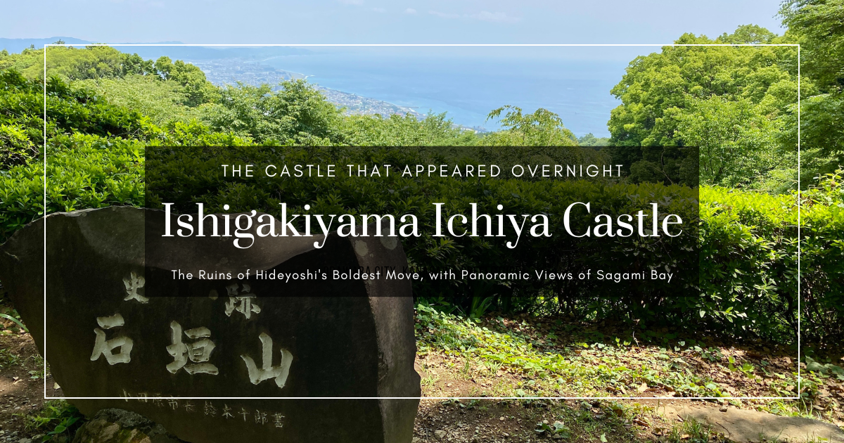 石垣山一夜城：小田原传奇的"一夜城"与周末免费导览