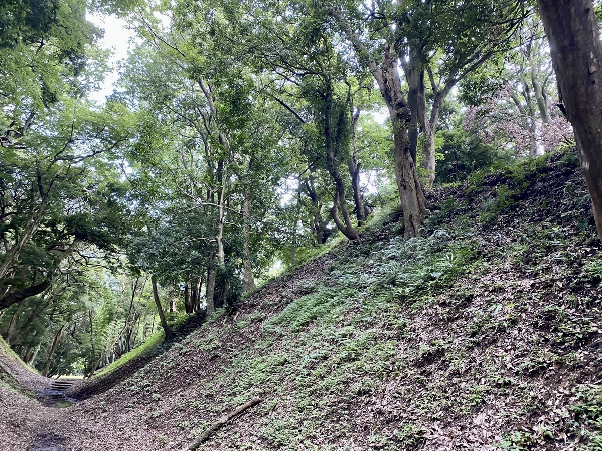 오다와라성 코미네 오카네노다이 오호리키리의 참도를 뒤덮은 깊은 숲