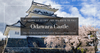 Odawara Castle Guide: Wear Samurai Armor and Try Ninja Skills at This Legendary Fortress