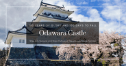 Castillo de Odawara: armaduras de samurái, experiencias ninja y una fortaleza legendaria