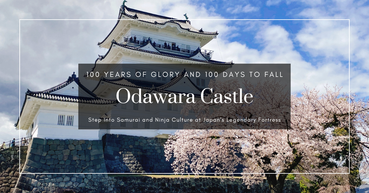 오다와라성 관광 가이드: 사무라이 갑옷 체험부터 닌자 수련까지, 난공불락의 전국시대 명성