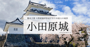 ここがすごい！小田原城〜国内トップレベルのエンタメ性を備える現代でも難攻不落の城