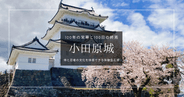 小田原城 見どころガイド｜侍にも忍者にもなれる！難攻不落の体験型名城