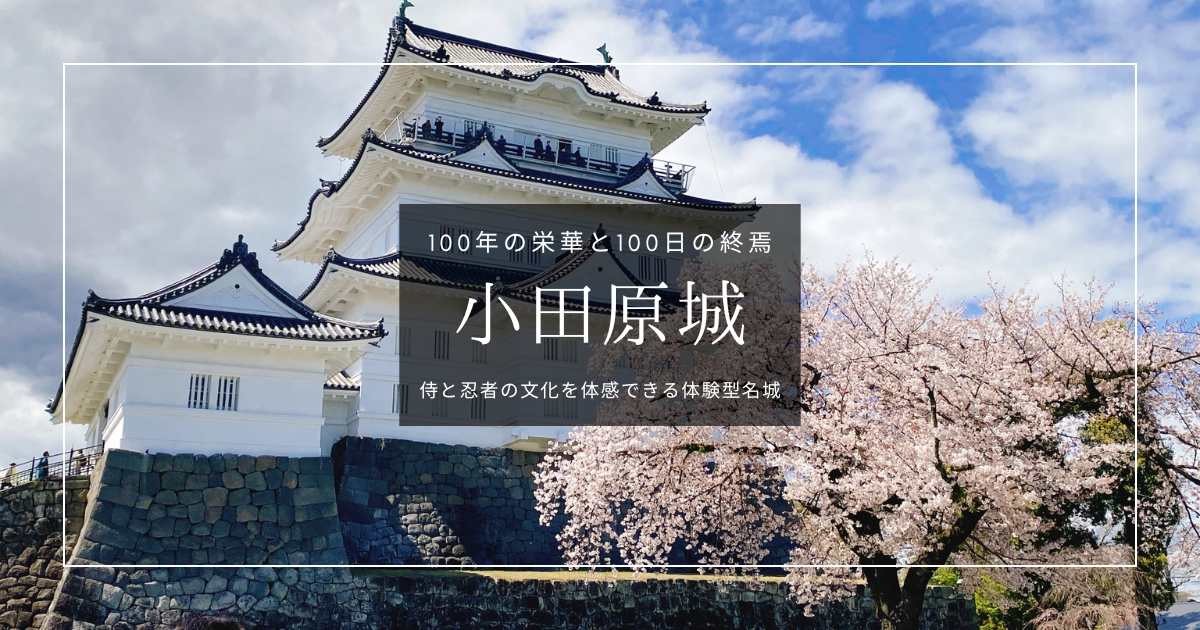 小田原城 見どころガイド｜侍にも忍者にもなれる！難攻不落の体験型名城