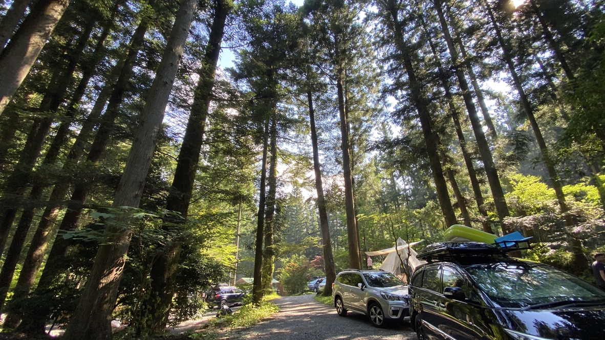 Campsite