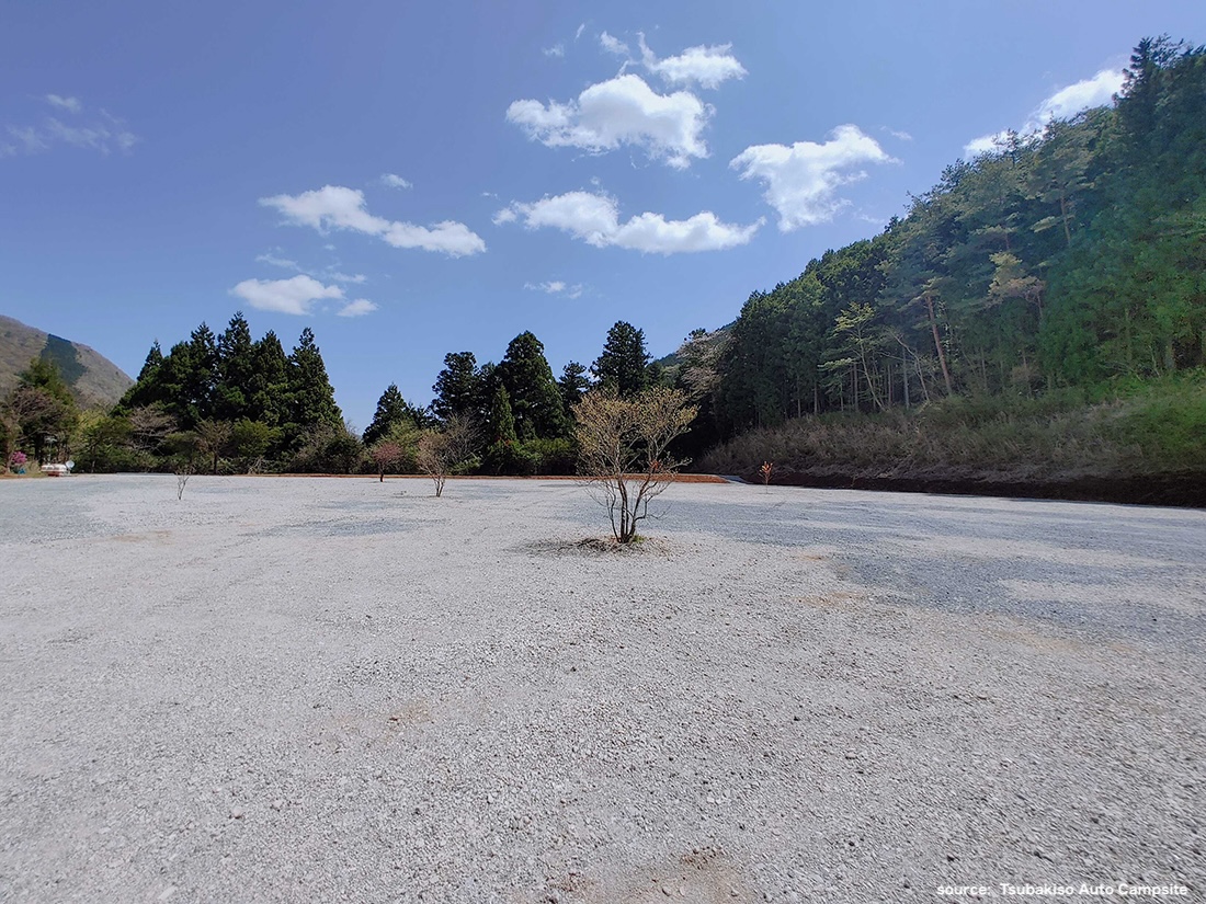 Second site