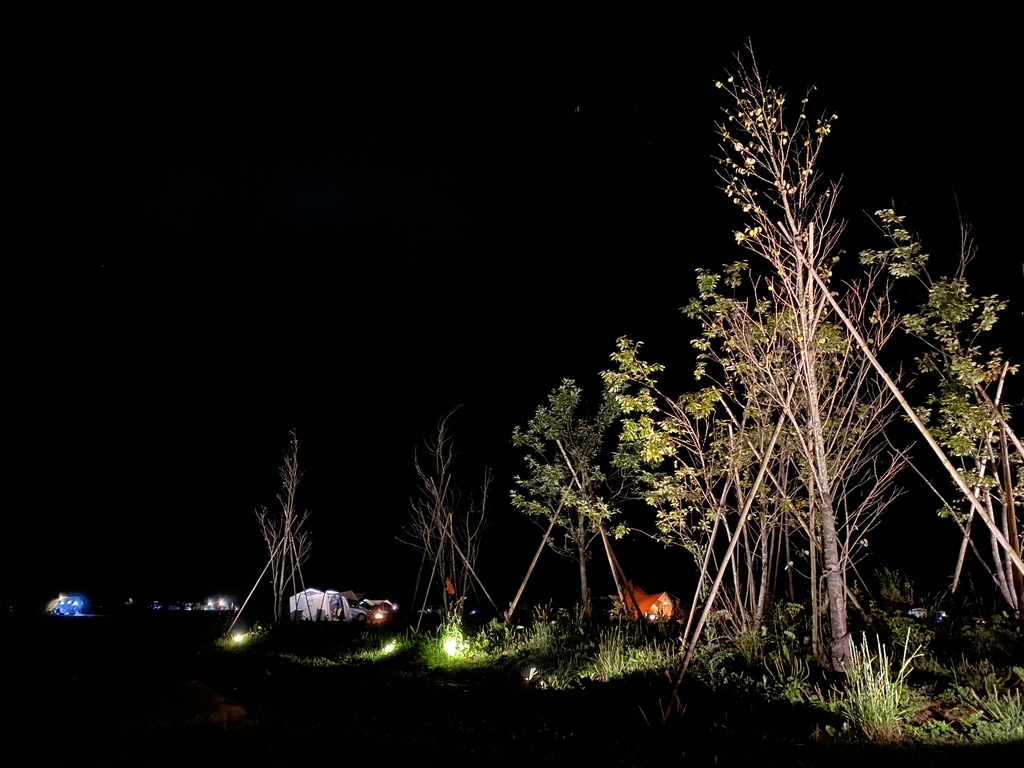Night scenery