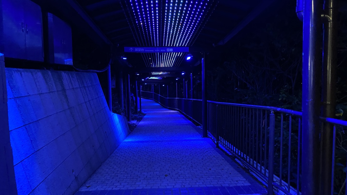 Walking Trail