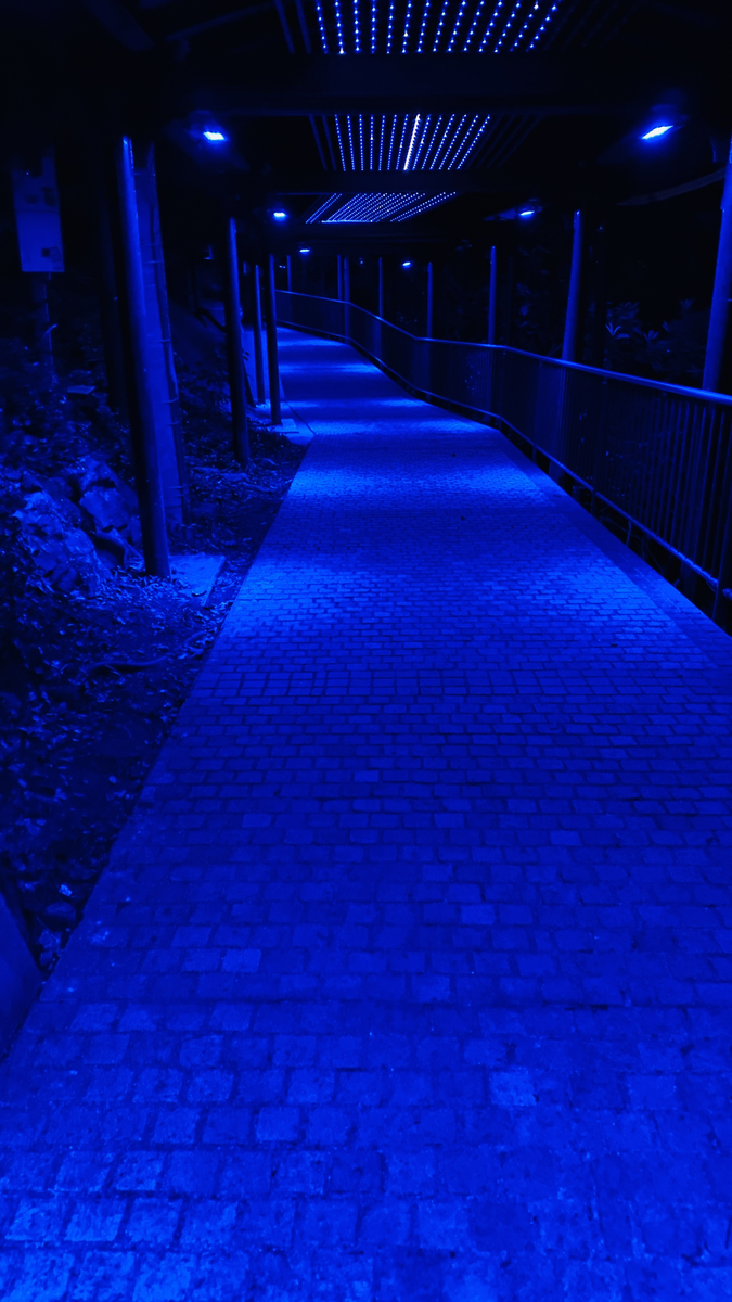 Walking Trail