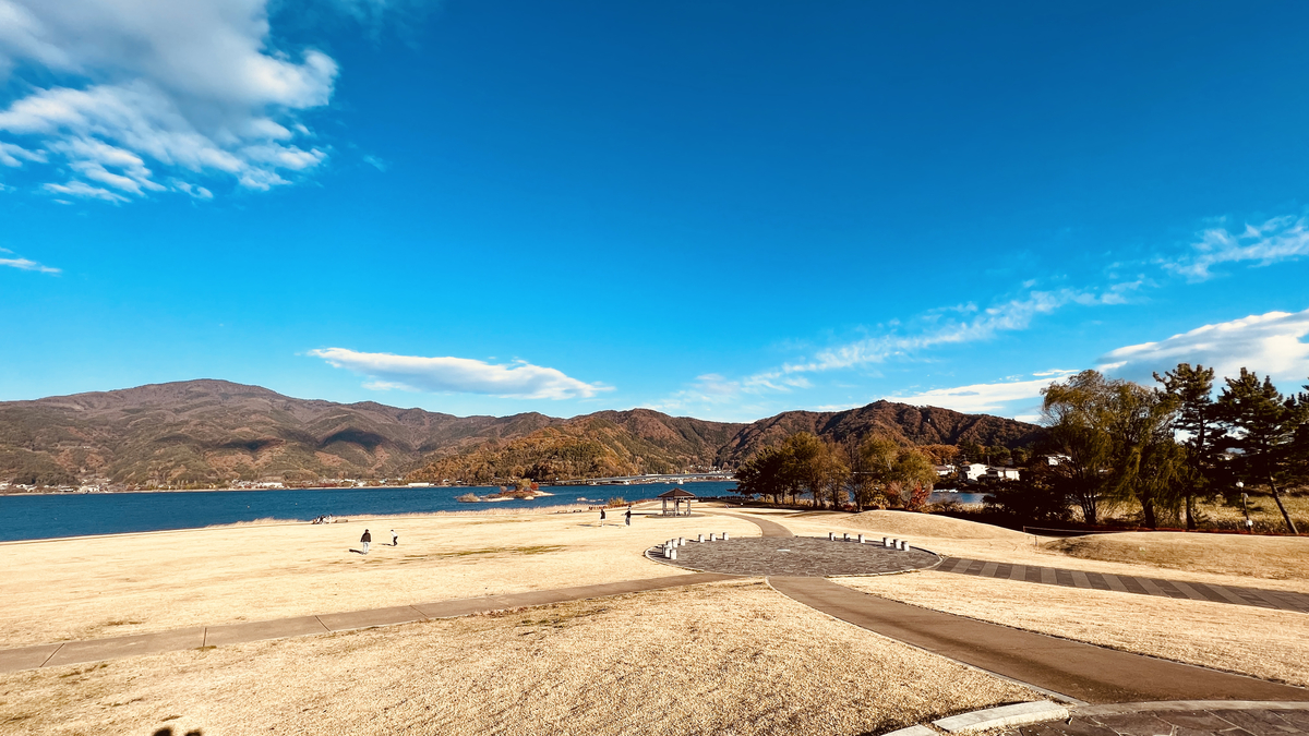 從八木崎公園的景色