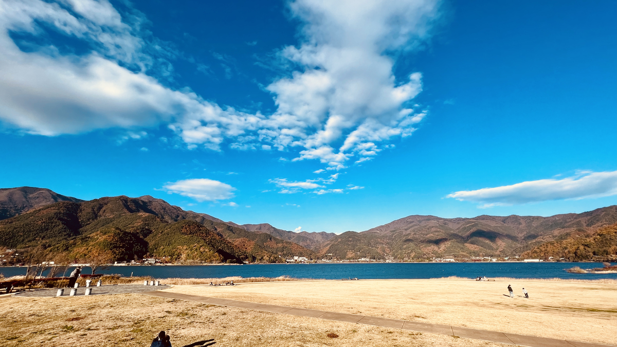 從八木崎公園的景色