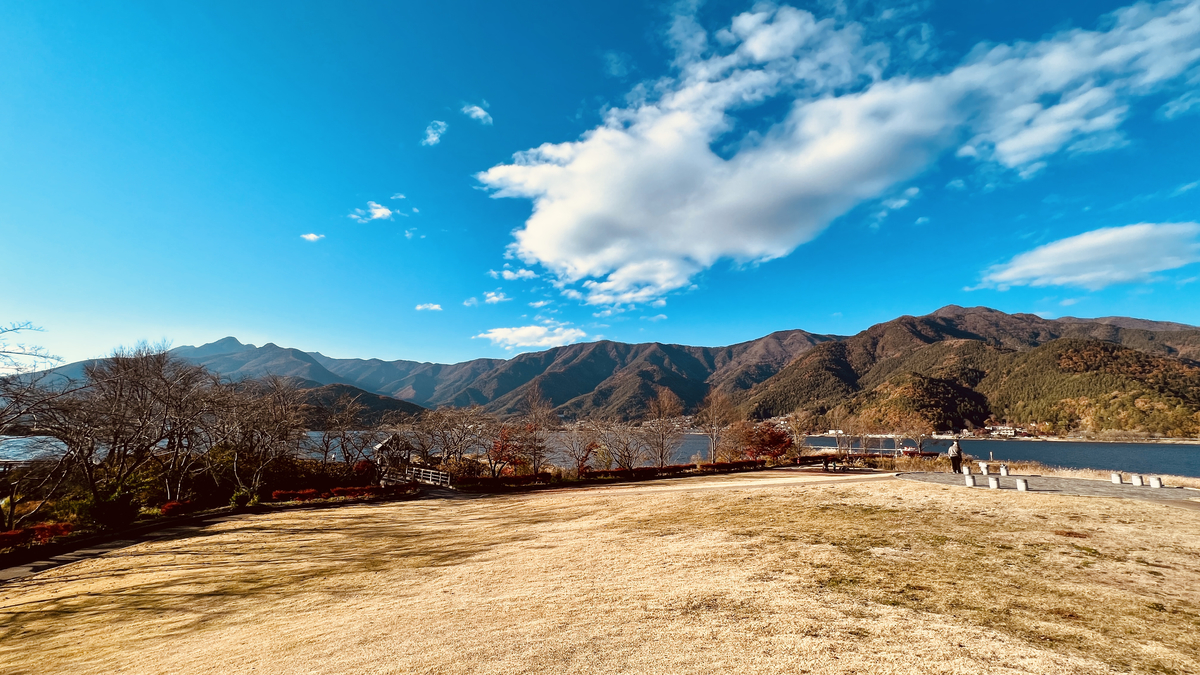 從八木崎公園的景色