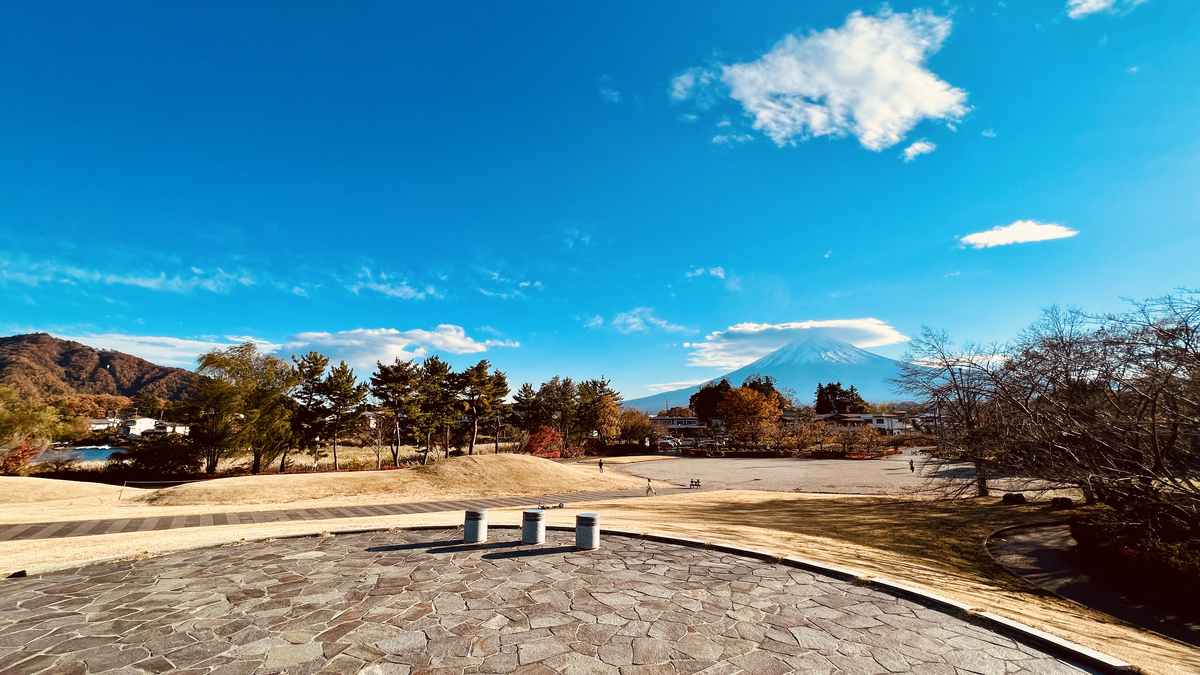 從八木崎公園的景色