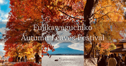 Mt. Fuji Autumn Splendor: Ultimate Guide to the 2024 Kawaguchiko Maple Corridor Festival