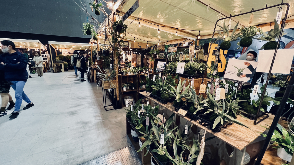 Houseplant Sales