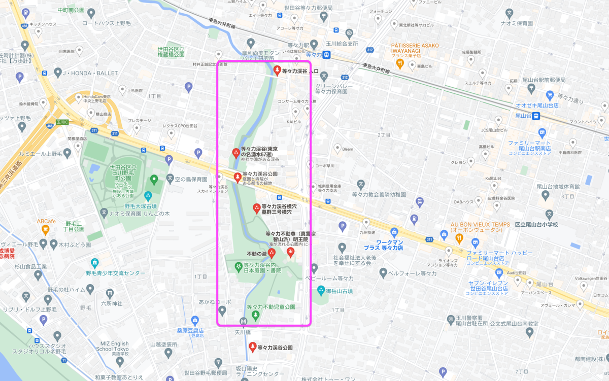 Todoroki Valley Area