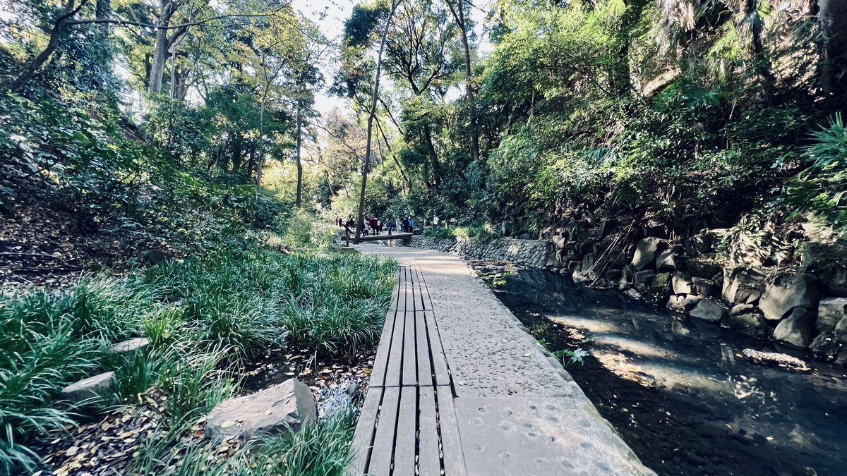 Todoroki Valley