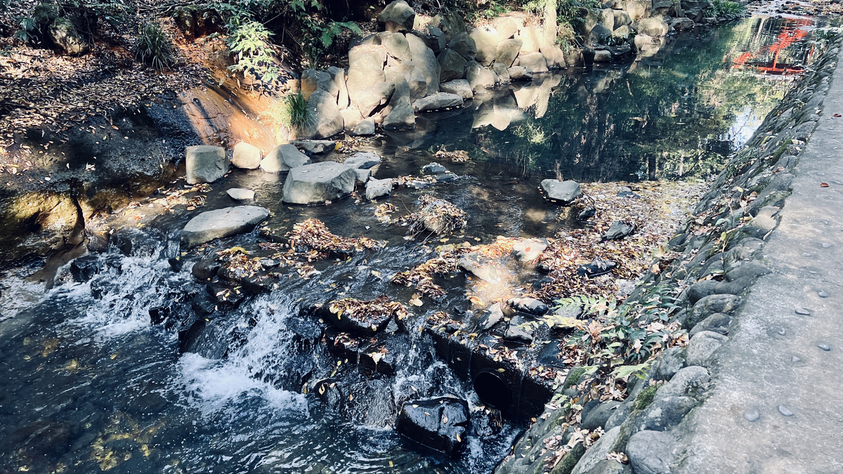 Todoroki Valley