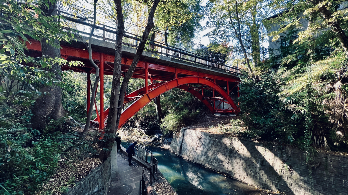 Golf Bridge