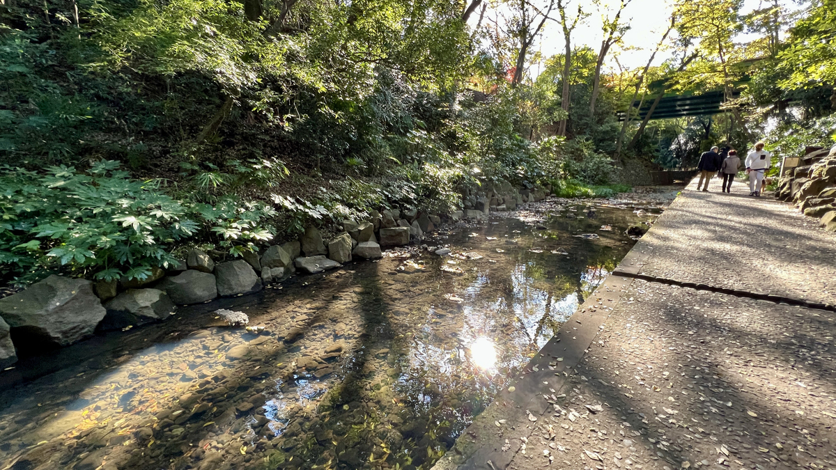 Yazawa River