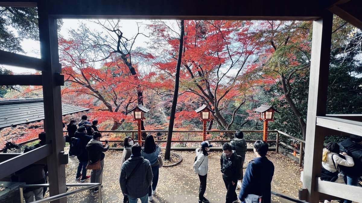 Autumn Leaves