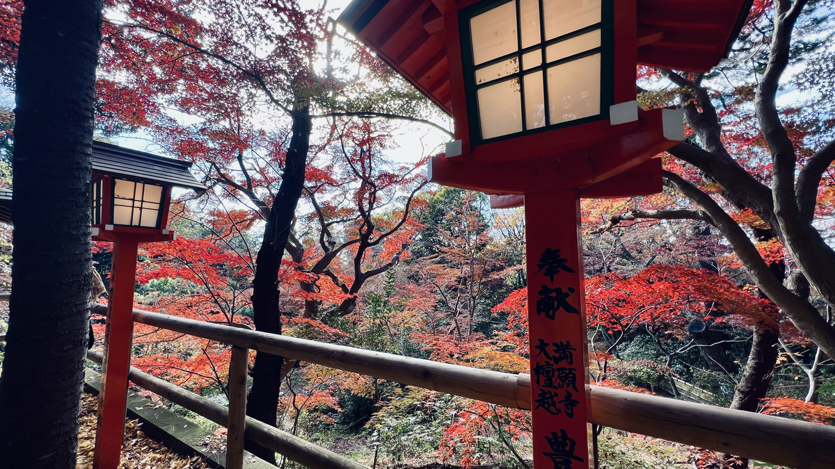 Autumn Leaves